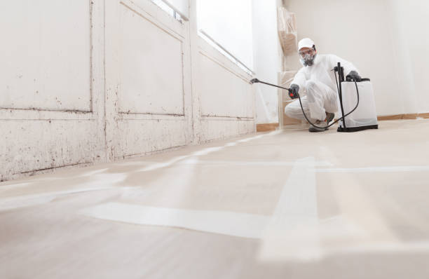 24/7 Emergency Black Mold Removal experts in Manchester, WA