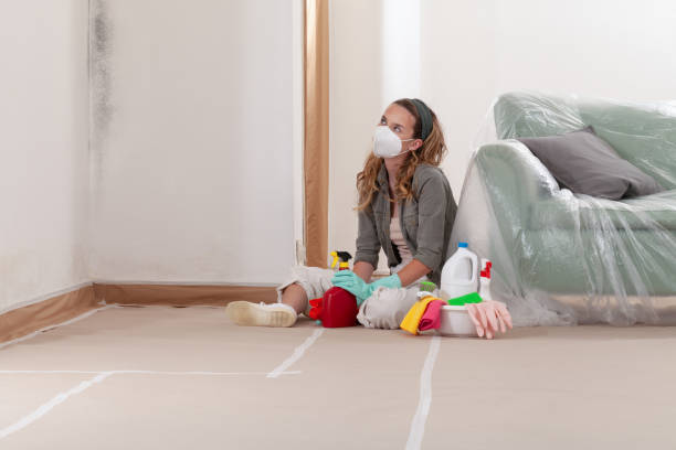 Reliable Black Mold Removal contractor in Manchester, WA by WQB Mold Removal